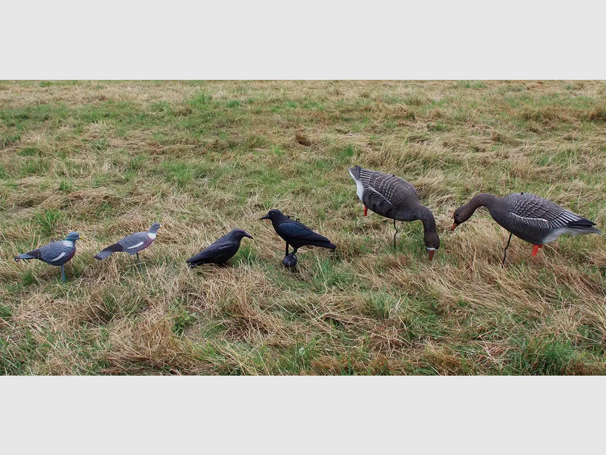 AKAH Decoy Wood Pigeon movable - stackable with ground spike, image 2 of 2