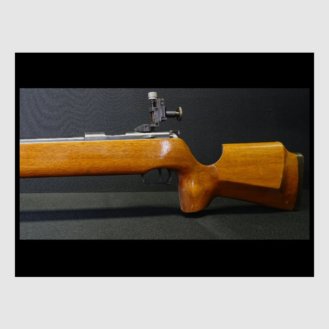 Norinco JW17 Match
