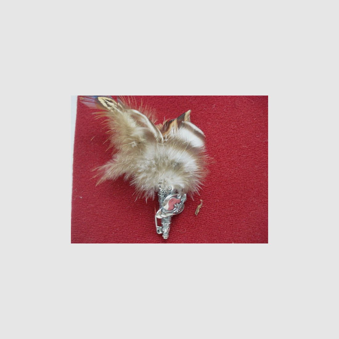 Hutfeder Jagd - Hut
