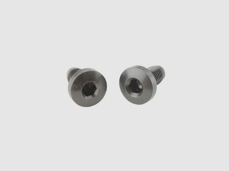 ED BROWN 1911 ED BROWN ALLEN HEAD GRIP SCREWS BLUED QUANTITY 4