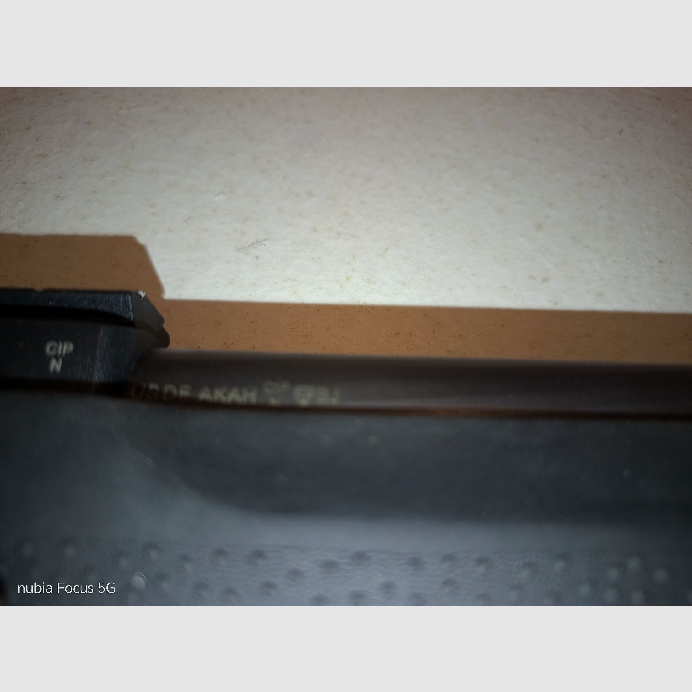 Ruger 10/22 