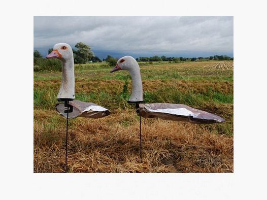 Nijlgans lokvogel met kop 10stuks -6x kop foeragerend / 4x kop hoog.