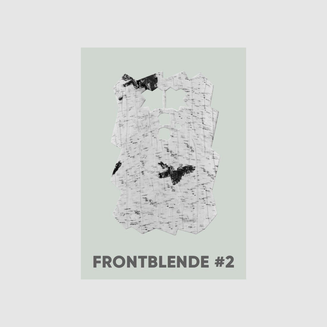 Minox copertura frontale 80408099 betulla DTC 460