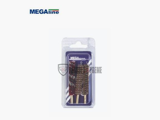 Blister 3 Brosses MEGALINE Cal 22 (5.5)