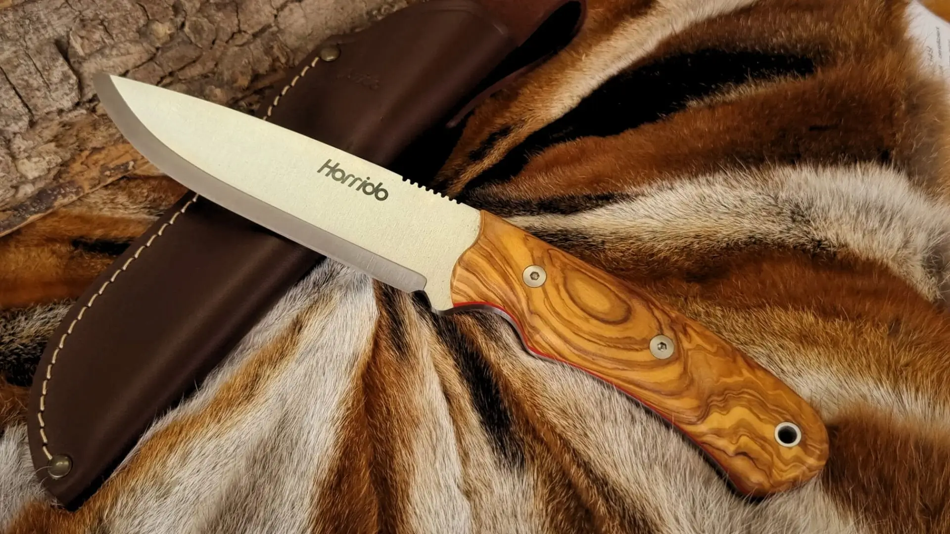 Horrido cuchillo de caza Oso, imagen 6 de 6