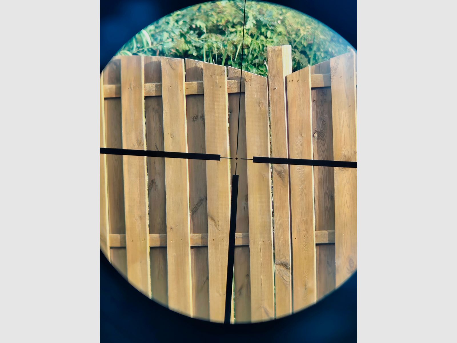 scope Ritter Optik 3-12x50 E