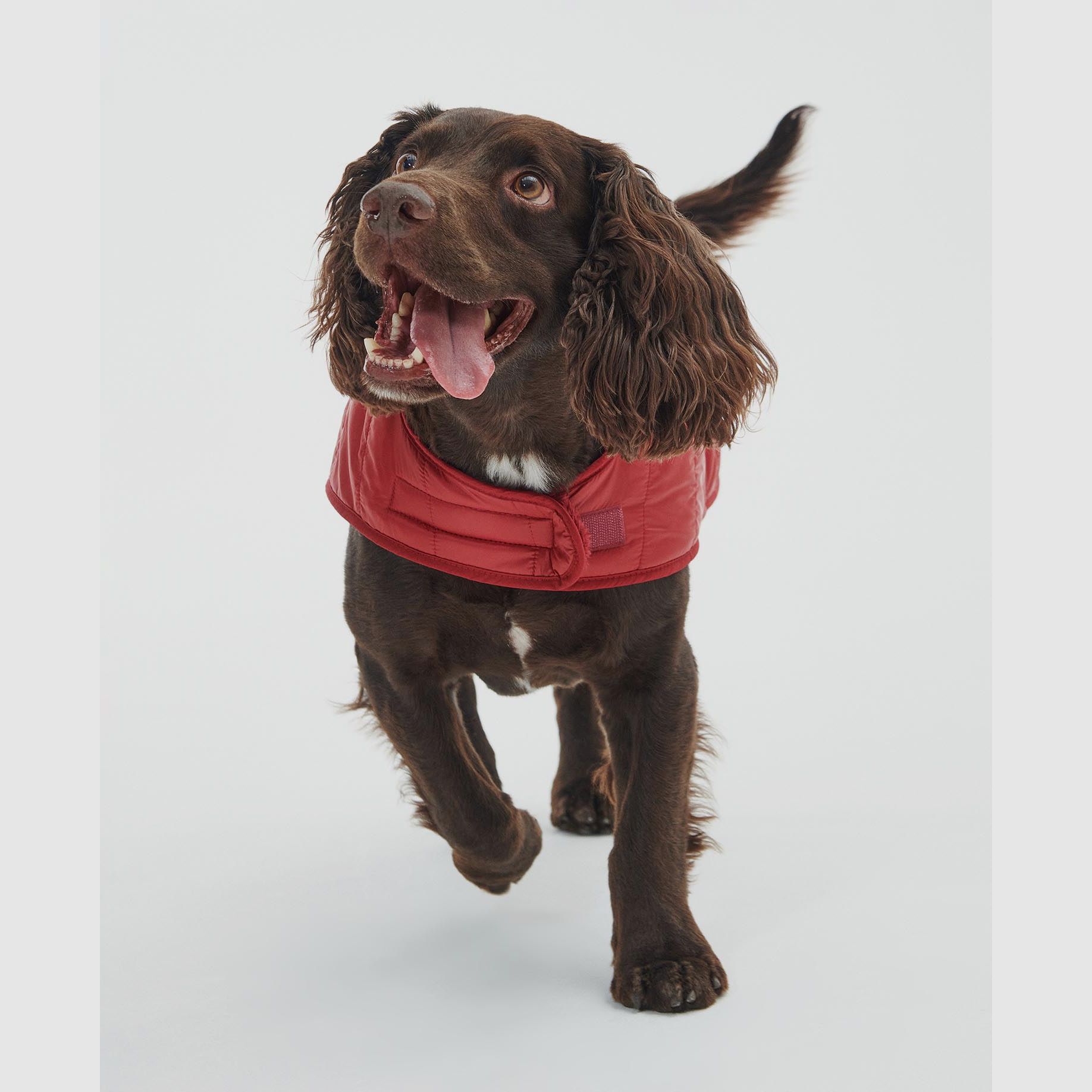 Barbour Hundemantel gesteppt mit Teddy-Futter