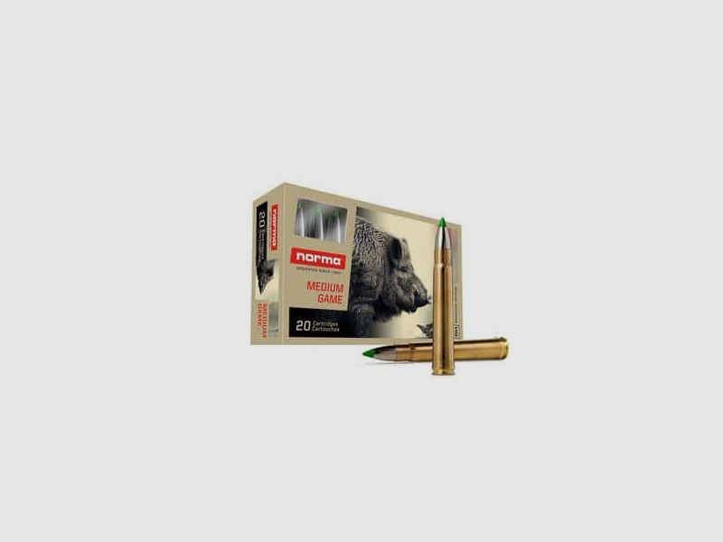 .375 H&H Mag. Norma Ecostrike 16.2g / 250grs.