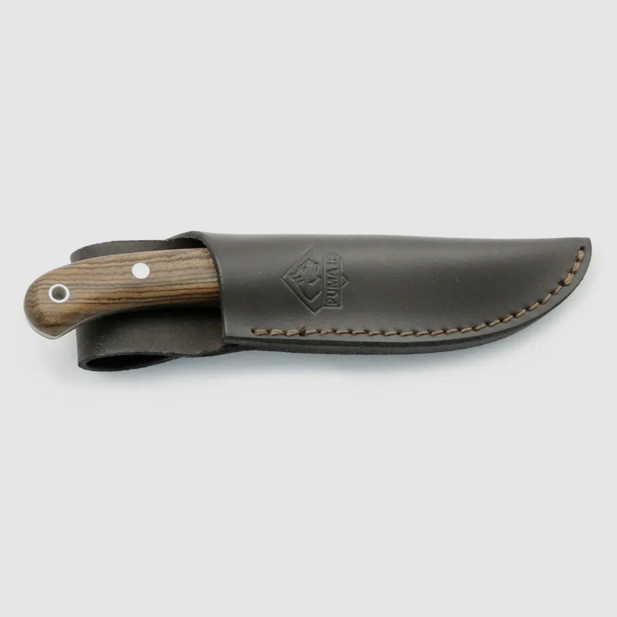 PUMA IP catamount quercia