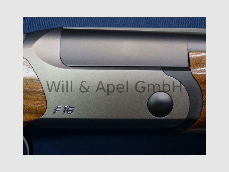 Blaser F16 Game INTUITION