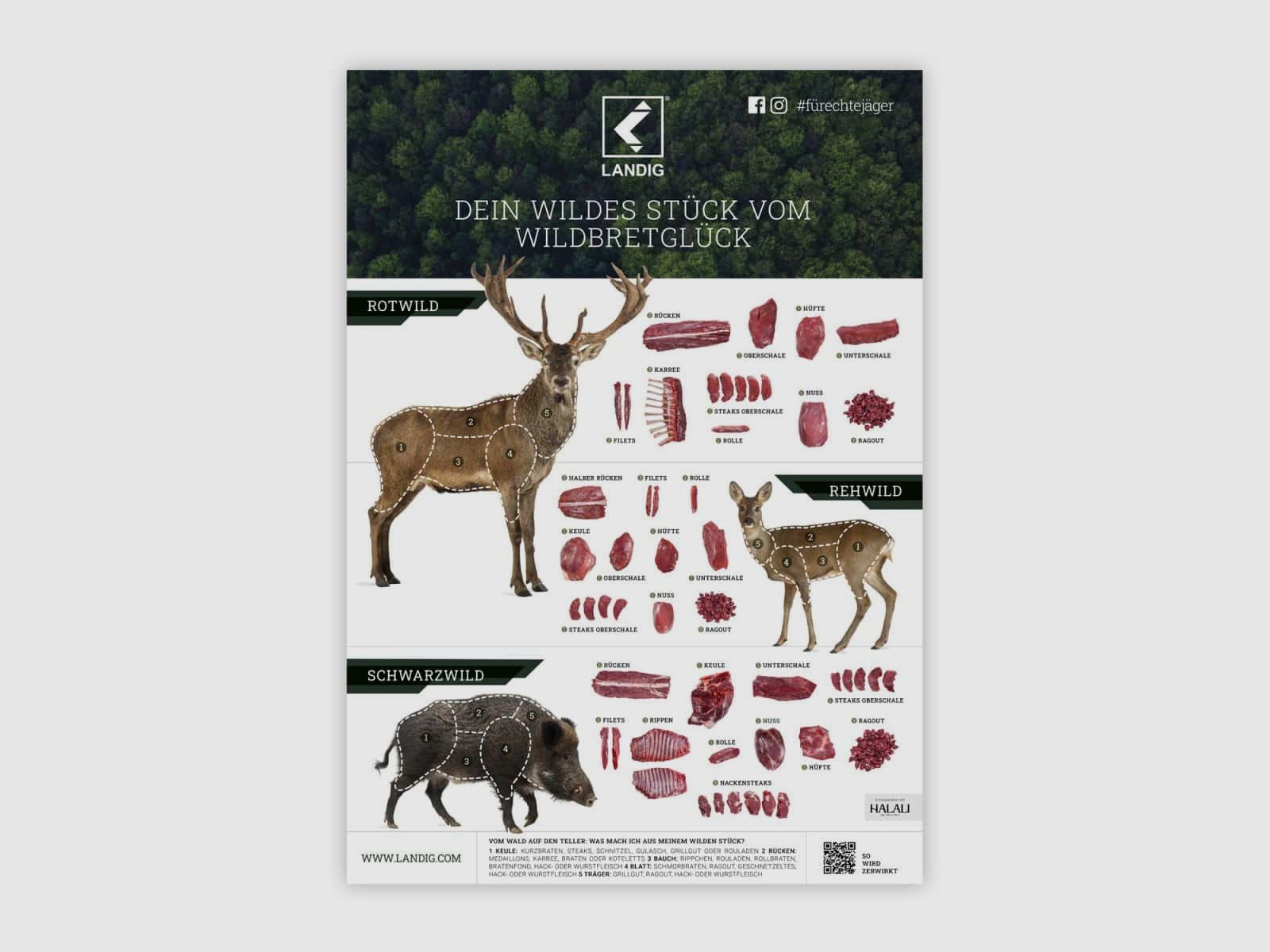 Landig Poster di Carne Selvatica, immagine 1 di 2