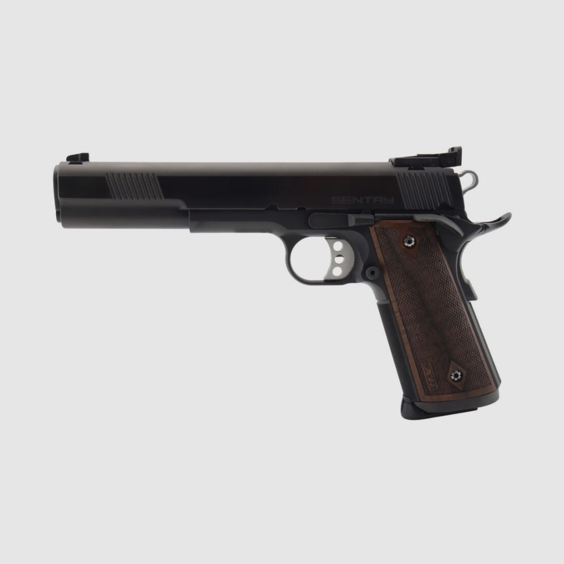 STP Sentry 6.0, imagen 3 de 10