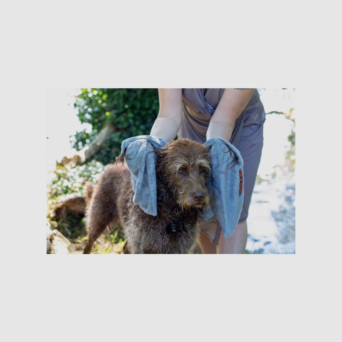 Siccaro Trockentuch EasyDry Dog Towel