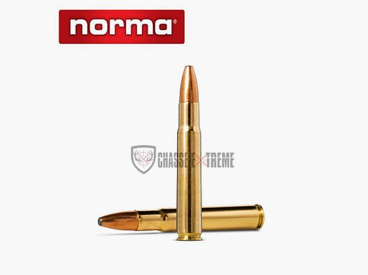 20 Patronen NORMA Kal. 35 Whelen 250gr Oryx