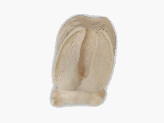 Timbre de suivi sanglier