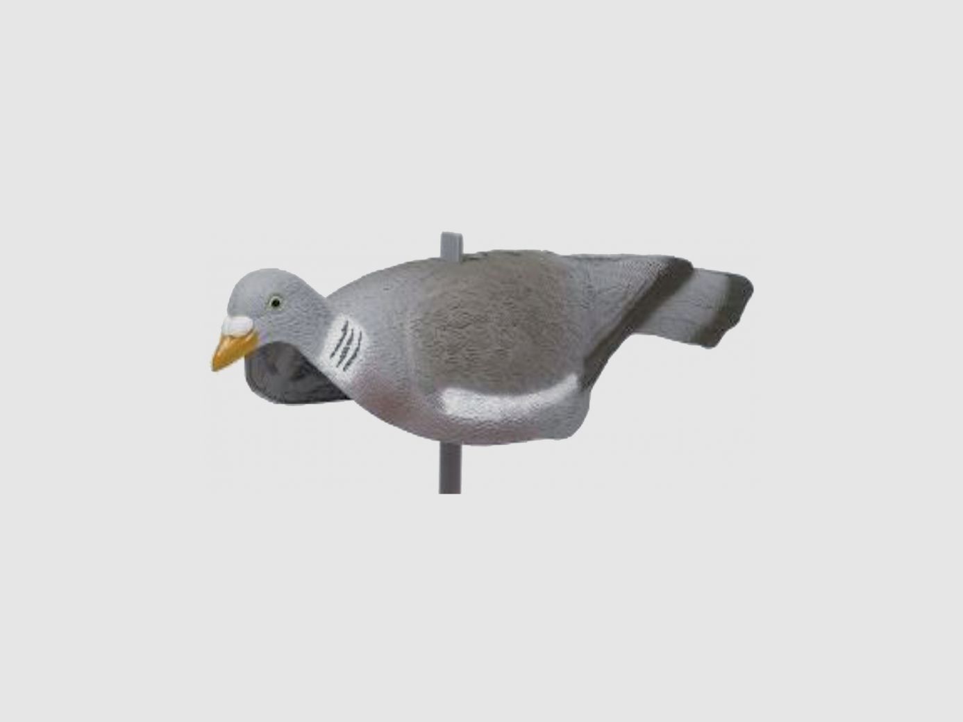 Hohlpigeon Schale