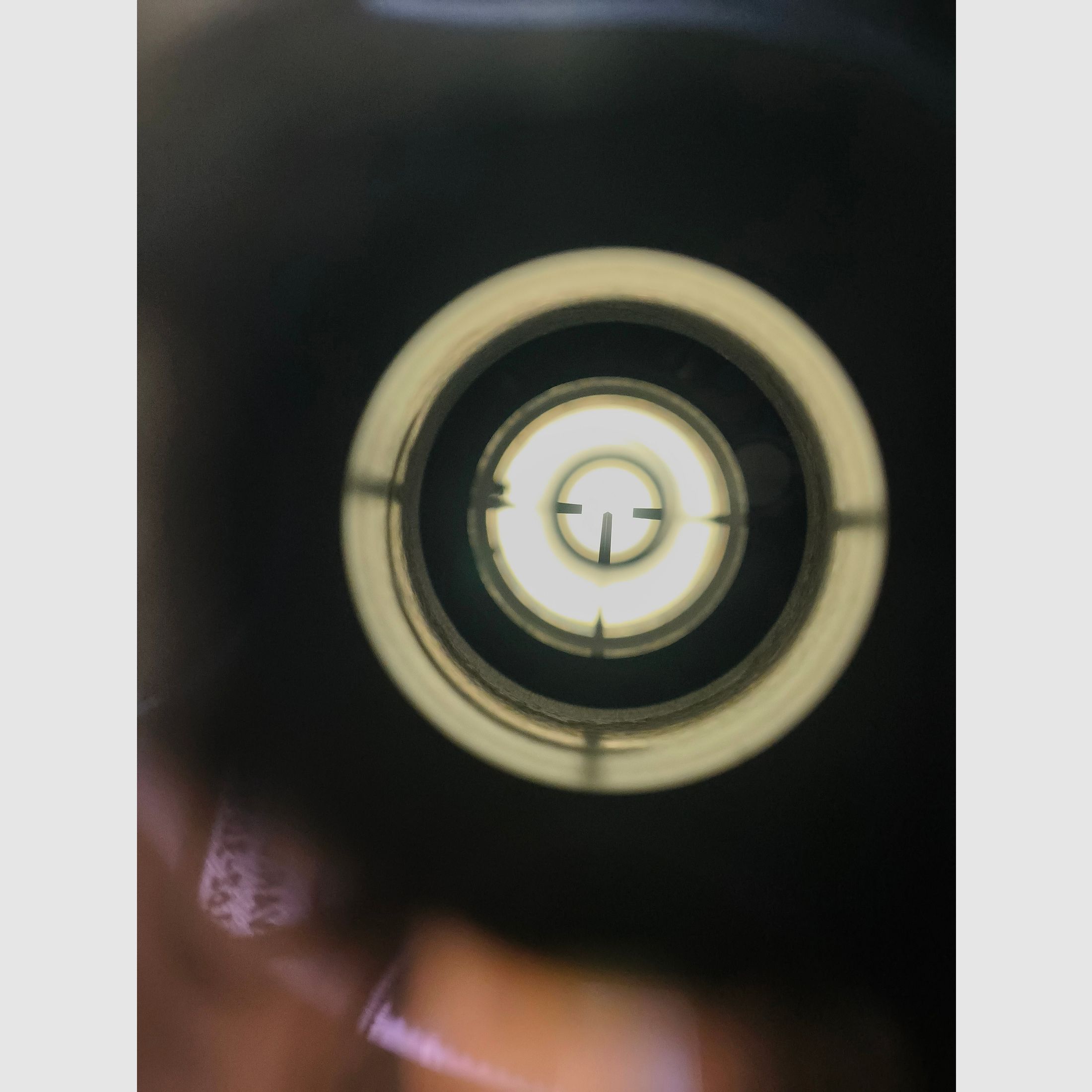 Zeiss Diavari D 2.5-10