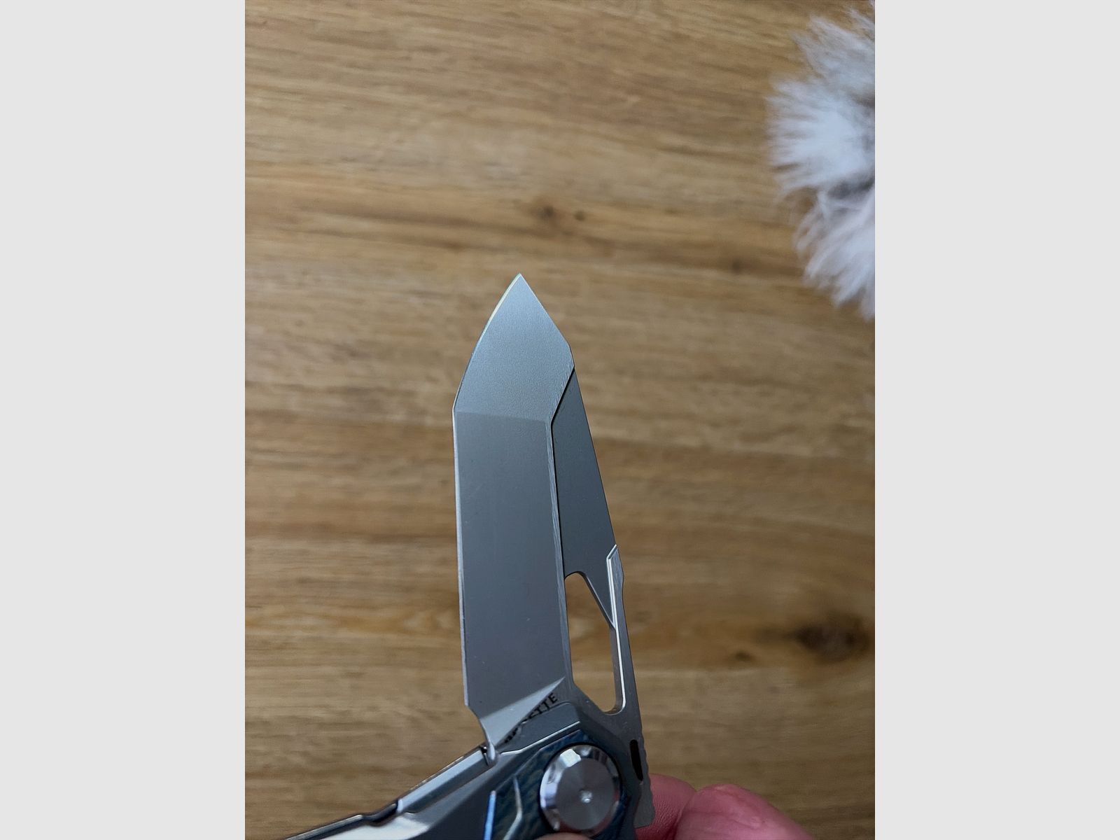 Remette Peregrine Falcon