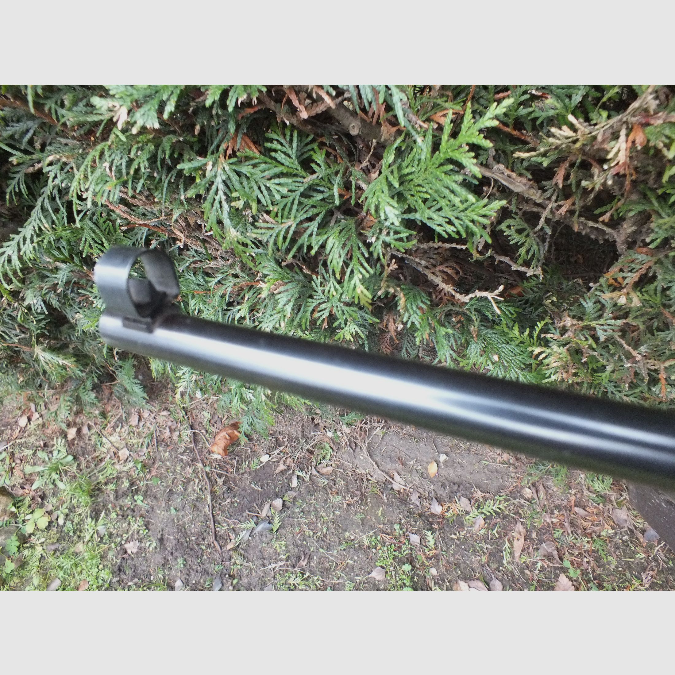 Schönes Luftgewehr Haenel 303 für Sammler!