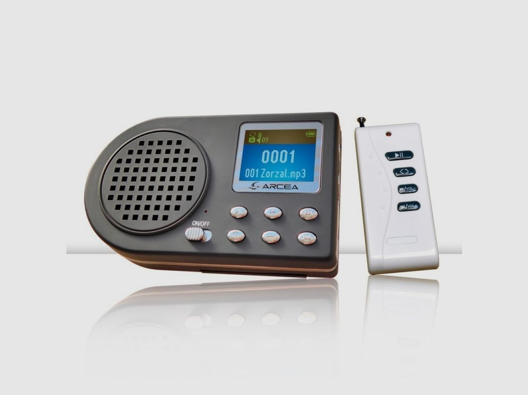 MP3-Player für Gesänge mit Fernbedienung., Bild 1 von 9