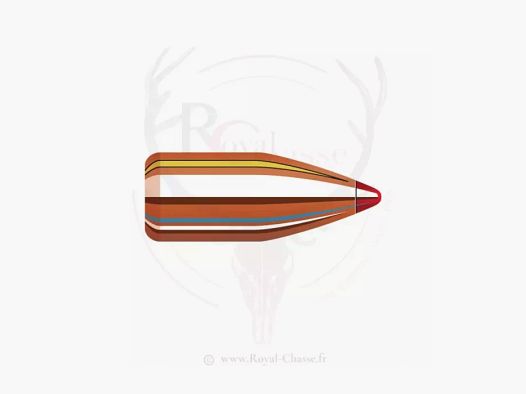 100 ogives Cal.35 D.355 165Grs FTX HORNADY