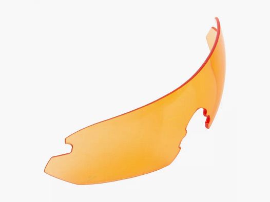 Disco di cambio arancione Nighthawk