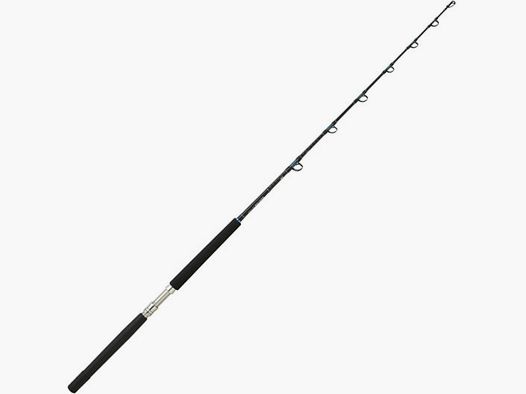 DAIWA SEALINE X TROLLING 100LB