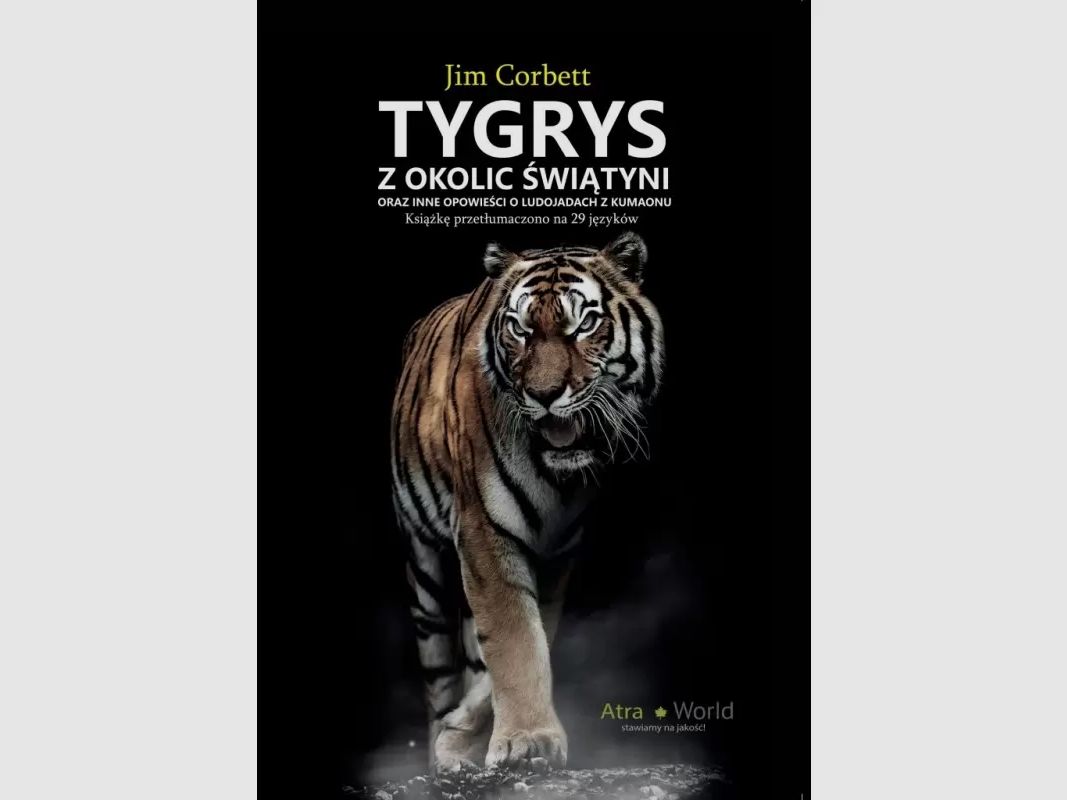 Tiger aus der Umgebung des Tempels