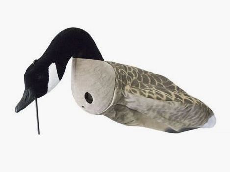 Sillosocks Flocksox Canada Goose Feeding Canada Goose