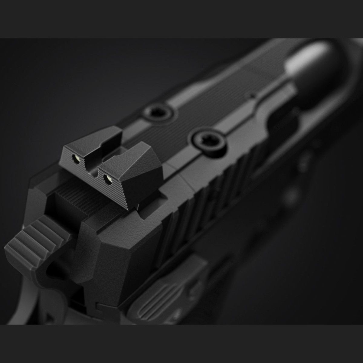 CZ Shadow 2 Carry, Bild 13 von 13