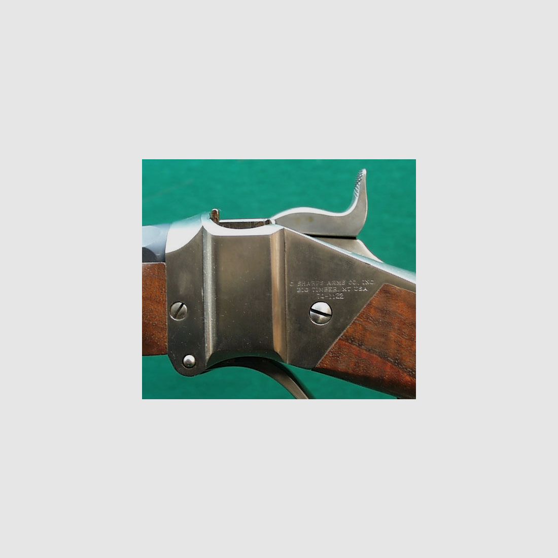 C.Sharps Montana Armeria Sharps 1874