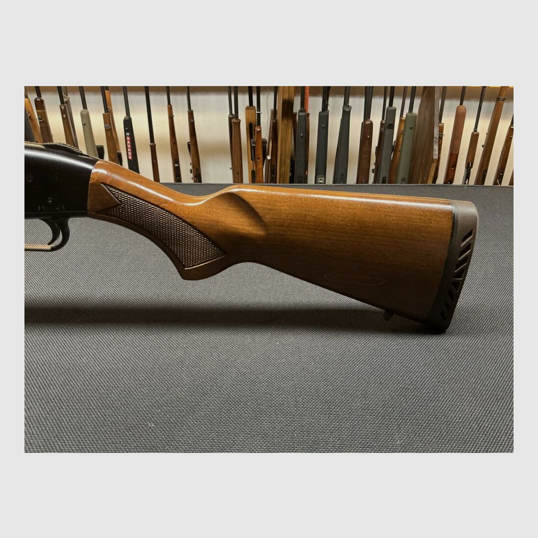 Mossberg zonder 12/76