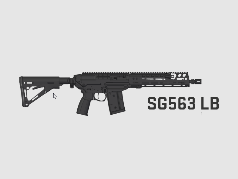 Sig Sauer SG563 LB