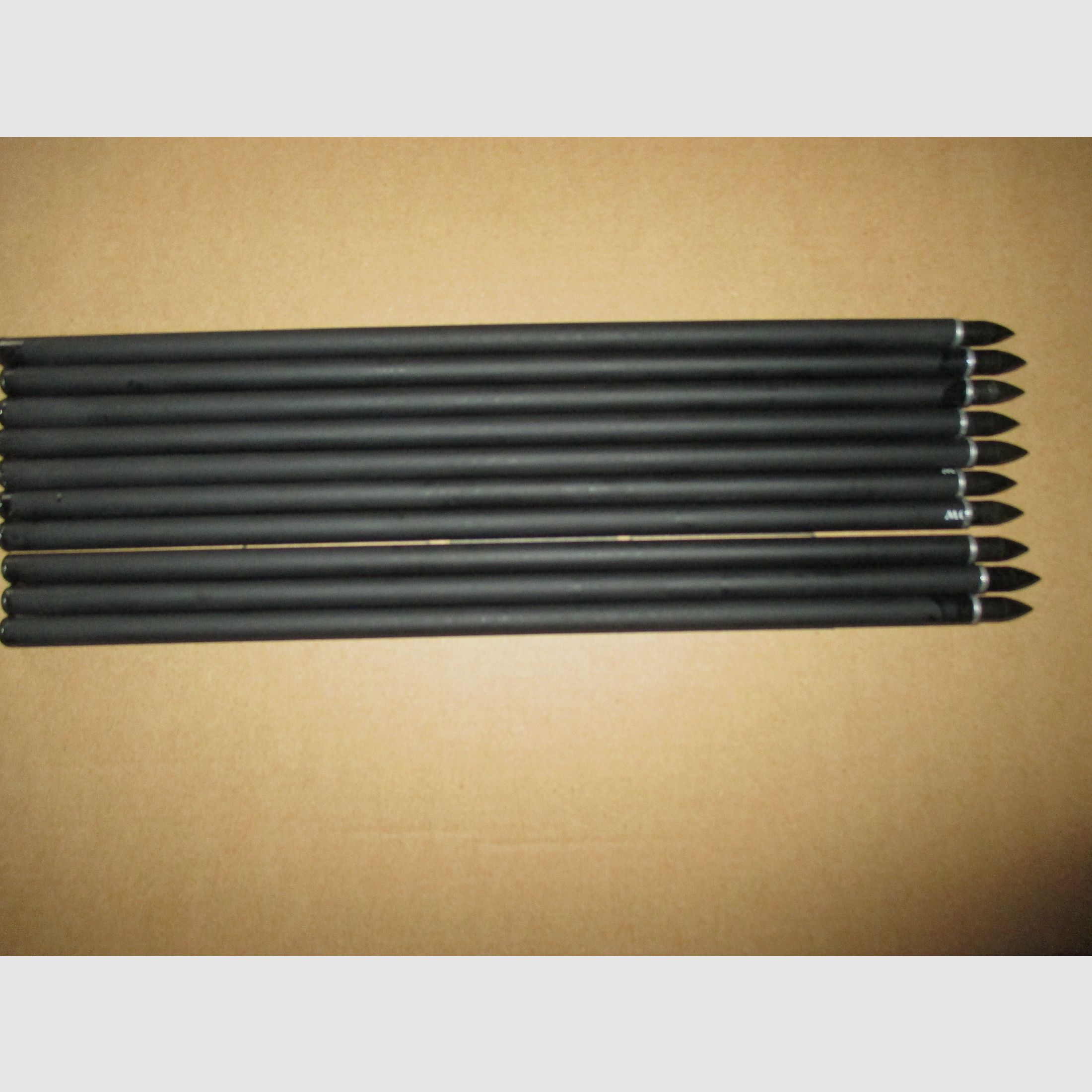 10 AEA Scuba Ashinger Carbon Bolts Arrows