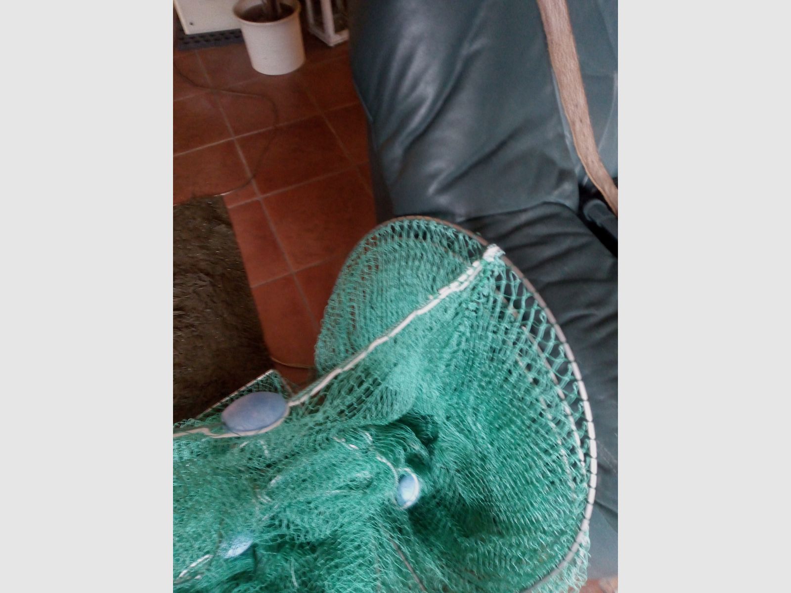 Anguila y reutilización de pescado 60 cm doble viaje
