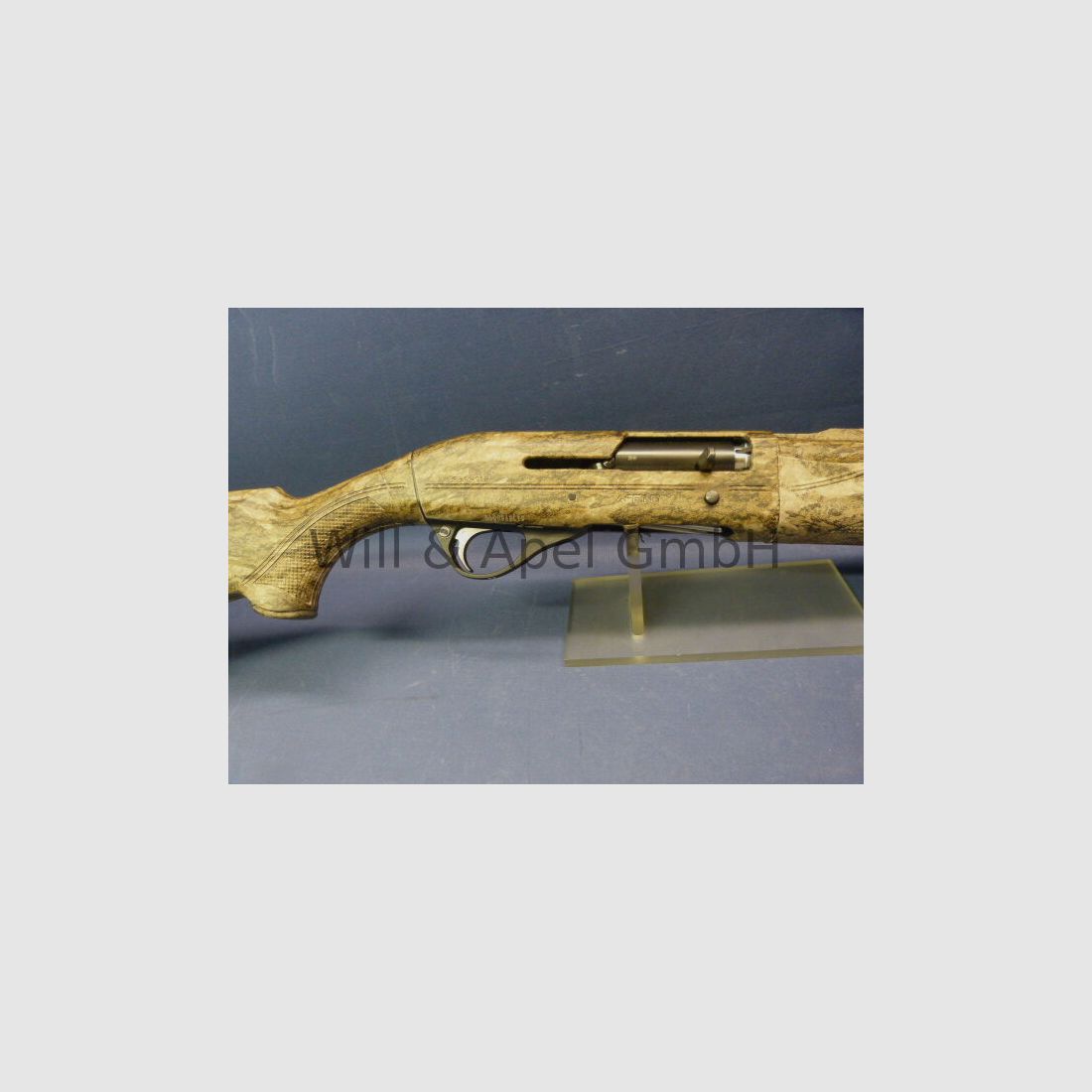 Franchi	 AFFINITY BOTTOMLAND