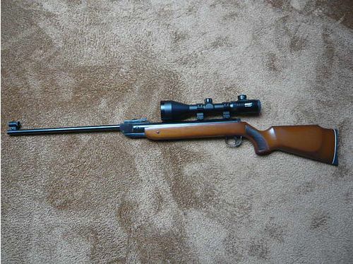 Luftgewehr DIANA Mod.35 m.ZFR LEADER 2,5-10X56E