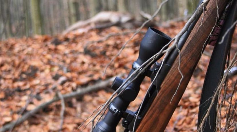 Das Steiner Ranger 2-8x42 - Allrounder-Zielfernrohr nicht nur für die Drückjagdsaison