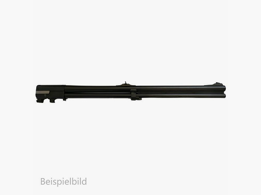 Blaser WL B95