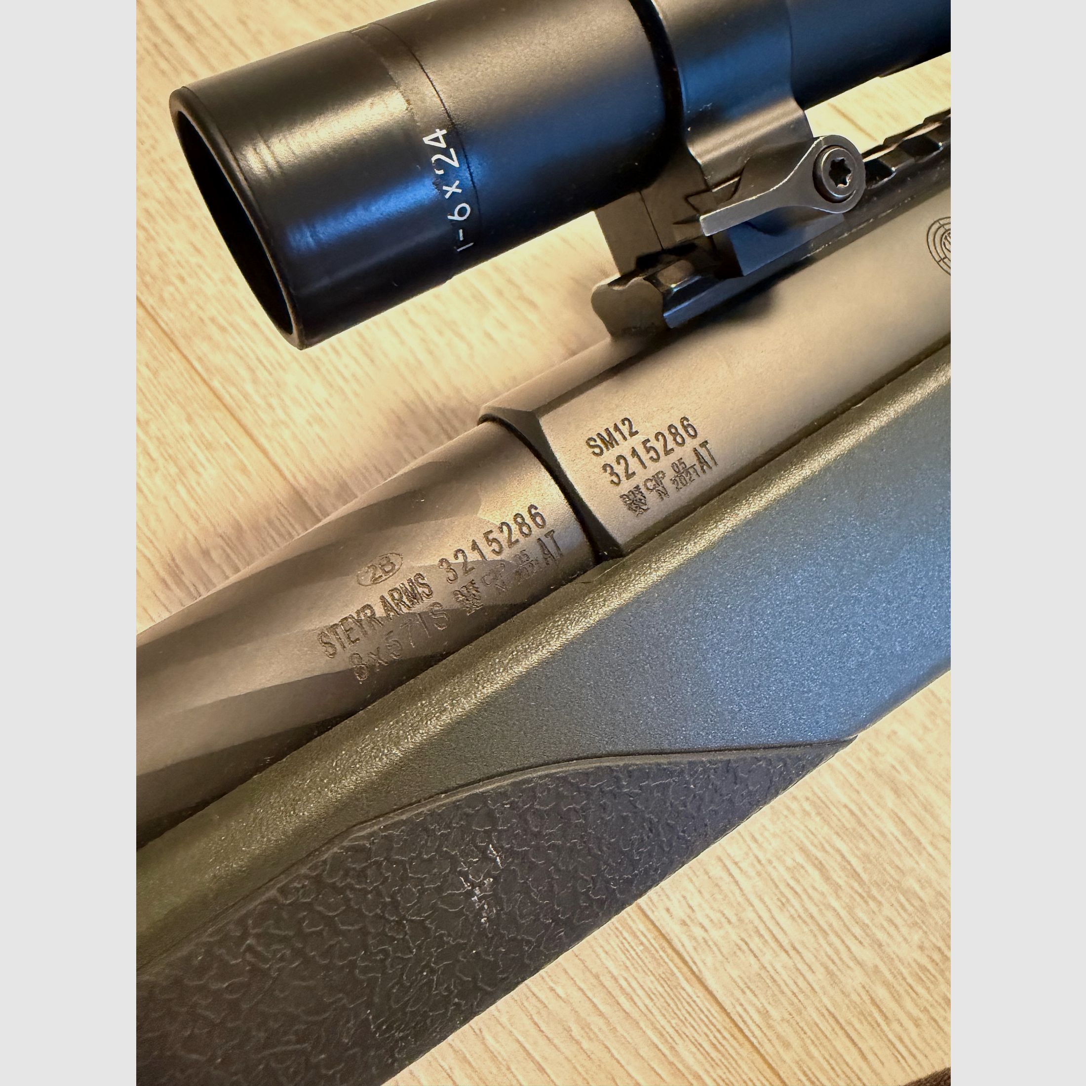 Steyr Arms SM12 SX