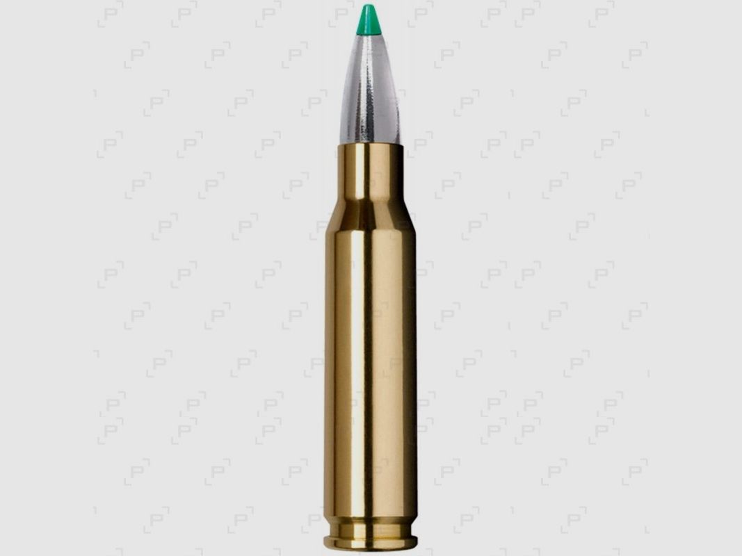 Boite de 20 cartouches à balle de grande chasse NORMA ECOSTRIKE Calibre .30-06 - 165 GR (SANS PLOMB)