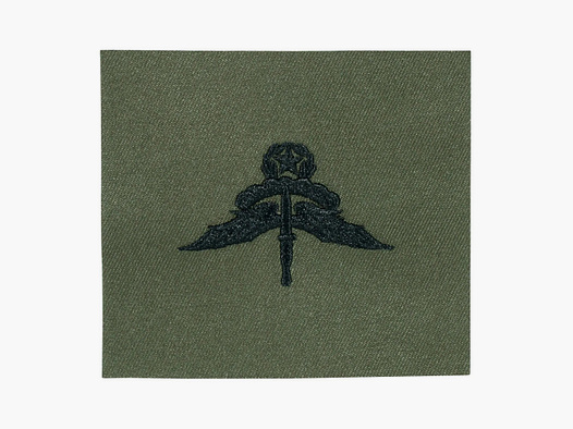 Unbekannt Abzeichen US Freefall Halo Master Textil
