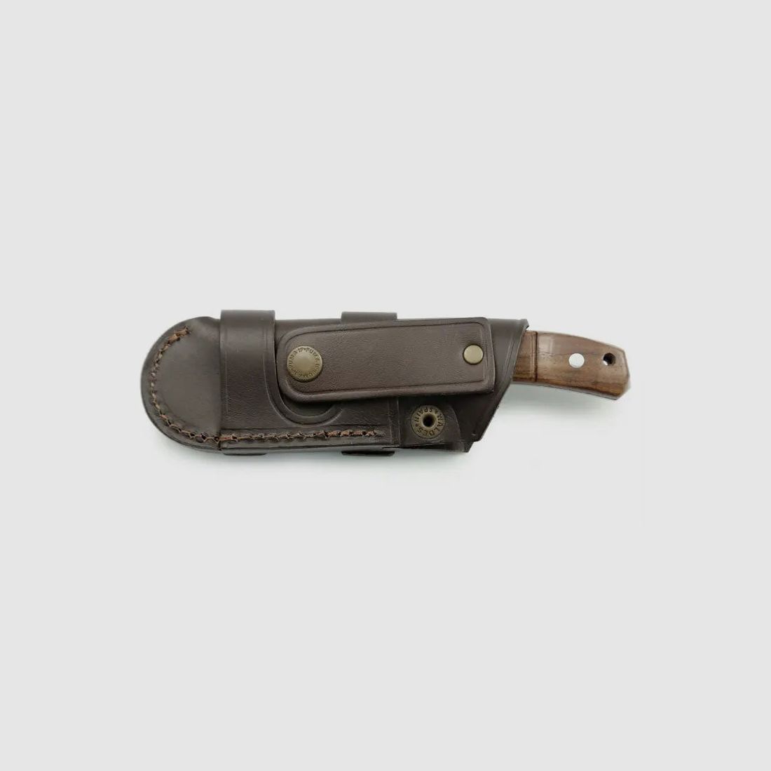 PUMA IP contorno cocobolo (discontinued model)