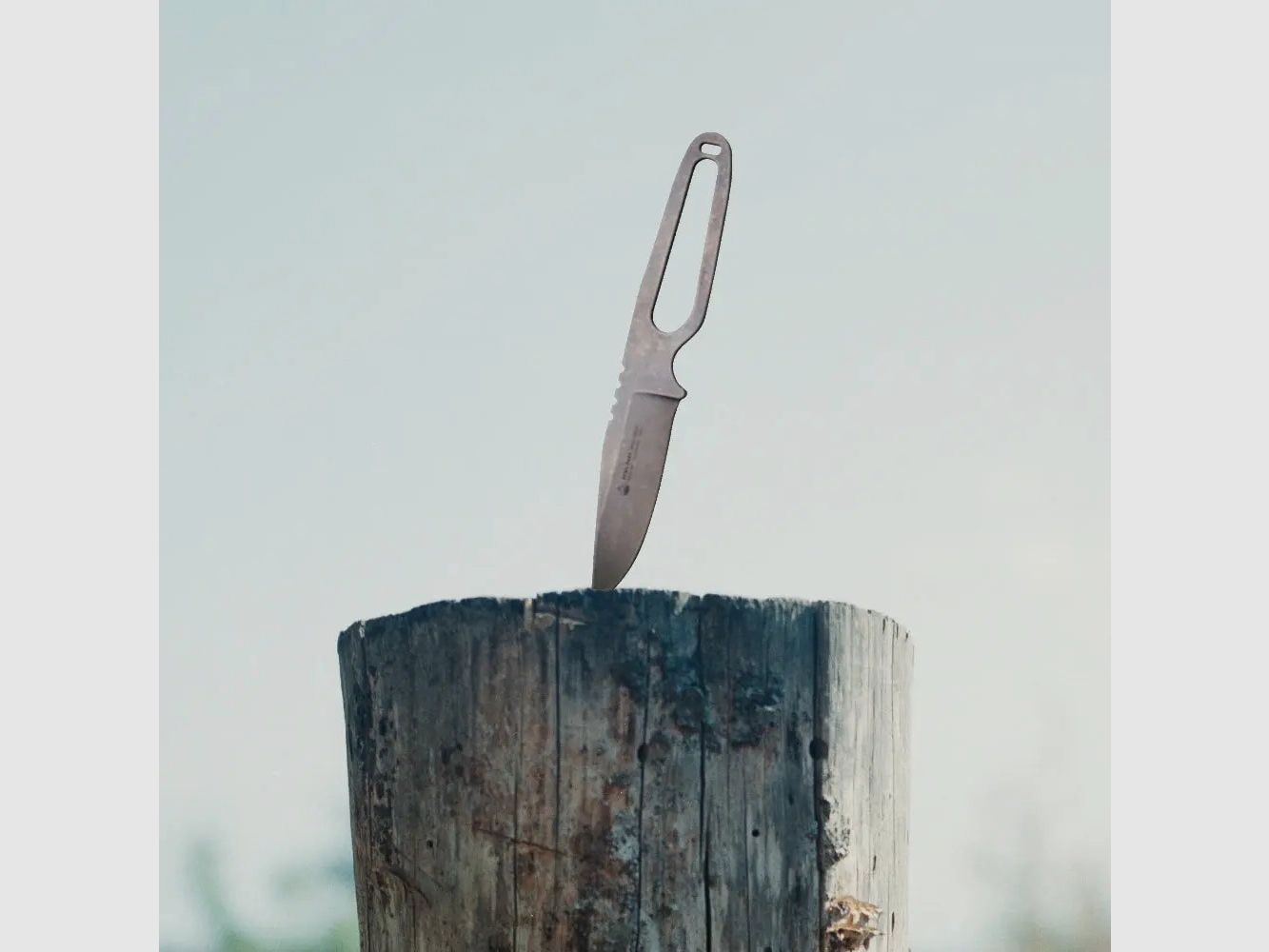 PUMA PARA, EDC Steel