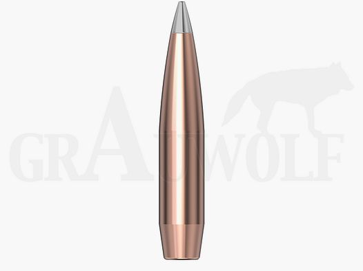 .224 / 5,6 mm 90 gr / 5,8 g Hornady A-Tip Match Balas 100 Piezas