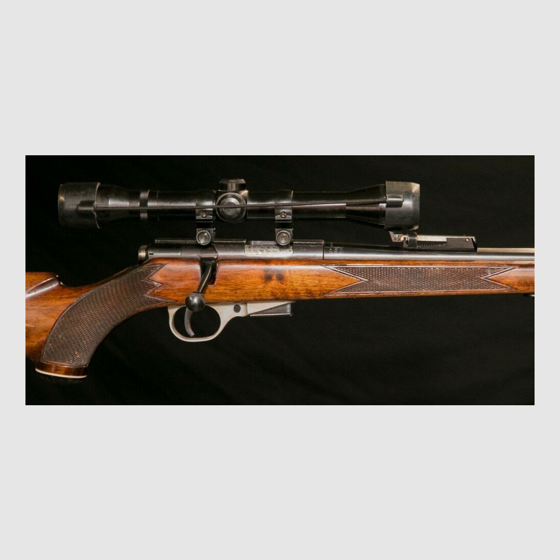 Saison de chasse pour carabine à répétition avec lunette de visée calibre .22