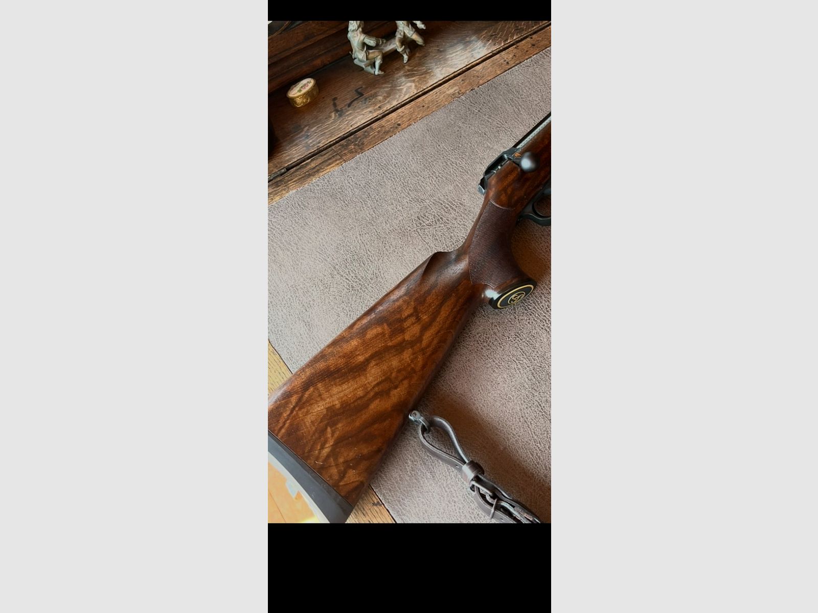 Sauer 101 Select 308 with Steiner Ranger 6