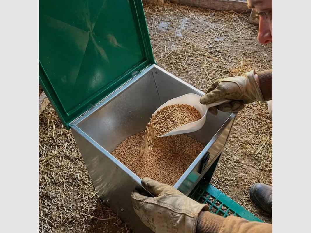 Abbeveratoio 30 L + mangiatoia anti-parassiti Feedomatic 20 kg, immagine 6 di 15