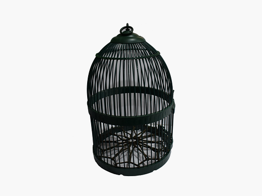 Partridge cage + case