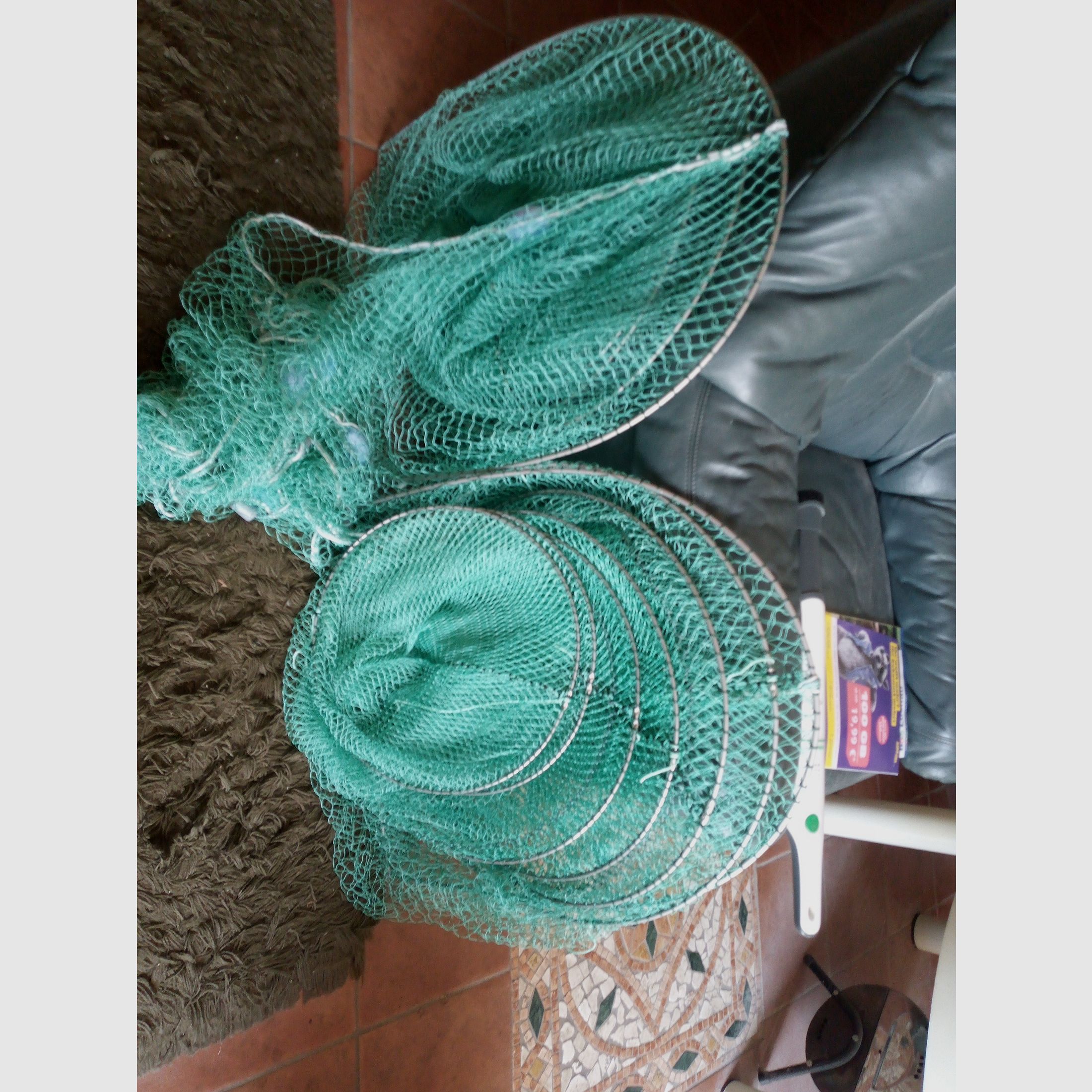 Anguila y reutilización de pescado 60 cm doble viaje